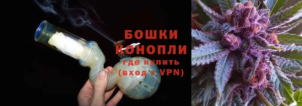дурь Рославль