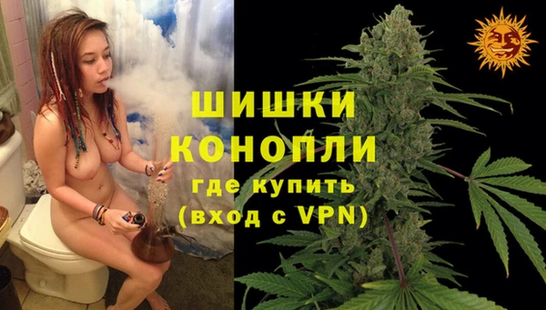 дурь Рославль