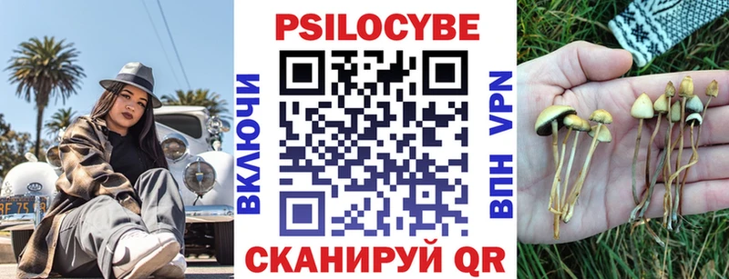 Псилоцибиновые грибы MAGIC MUSHROOMS  Томилино 